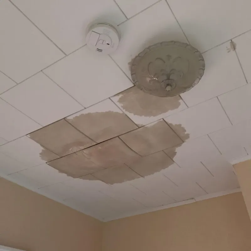 Ceiling Water Damage Repair in Gering, NE