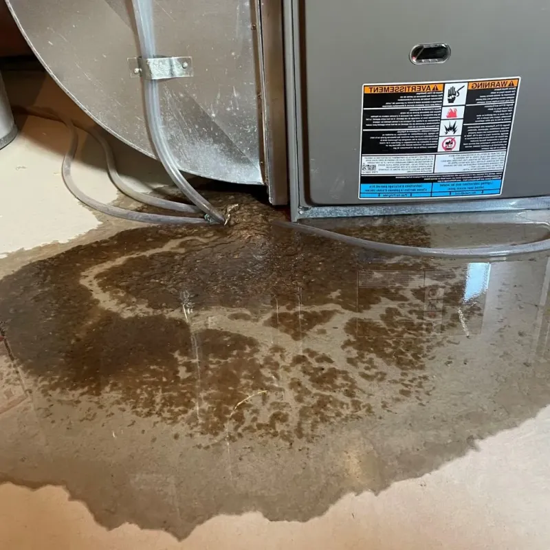 Pipe Burst and Leak Restoration in Gering, NE