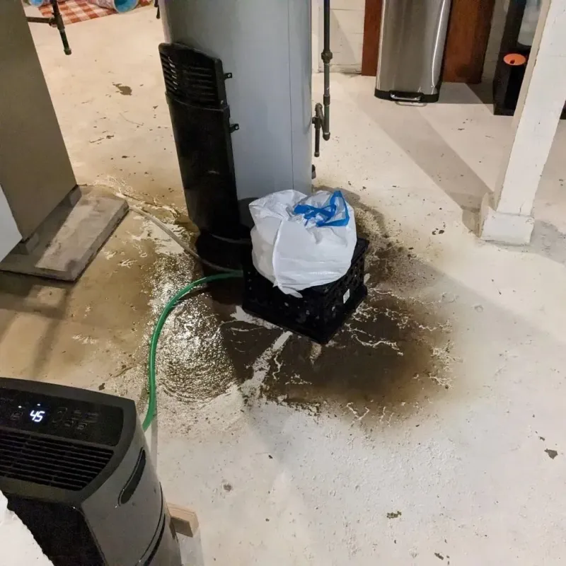 Sewage Backup Cleanup Service in Gering, NE